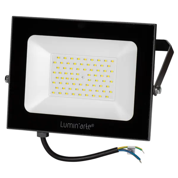 фото Прожектор светодиодный уличный luminarte 100 вт 5700k ip65 холодный белый свет lumin arte