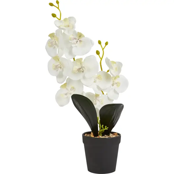 Искусственное растение Орхидея 40x39.5 см ПВХ цвет белый искусственное растение в горшке орхидея h50 см тигровый