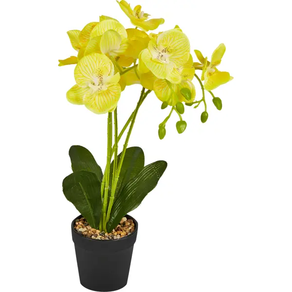 Искусственное растение Орхидея в горшке ø14 ПВХ цвет золотой фигура лицо полистоун 82 см чёрно золотой иран 1 сорт