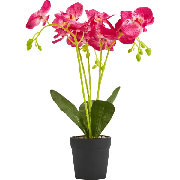 Искусственное растение Орхидея в горшке ø14 ПВХ цвет красный орхидея милтония инка ø12 h40 см