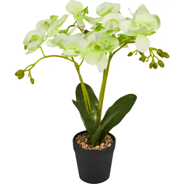Искусственное растение Орхидея в горшке ø14 ПВХ цвет зеленый искусственное растение орхидея в горшке ø14 пвх золотой