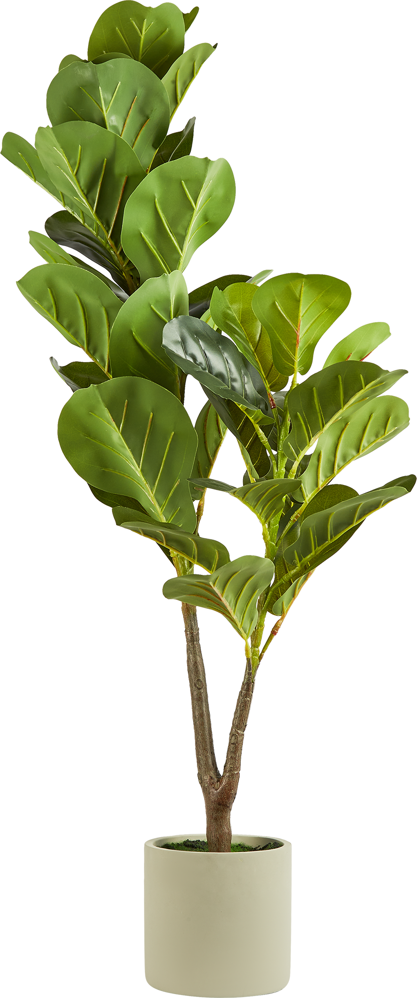 Искусственное растение Фикус 95x14 см пластик