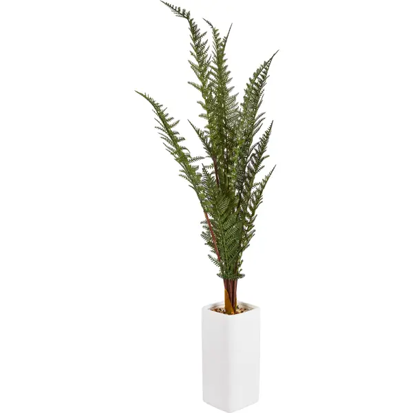деревовидный папоротник конэко о 100 см Искусственное растение Папоротник 91x11 см пластик
