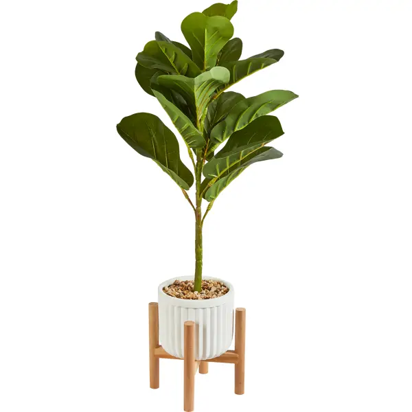 Искусственное растение Фикус 70x14.5 см пластик искусственное растение клевер 41x22 см пластик зеленый