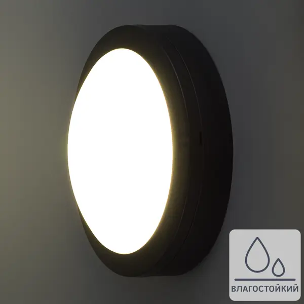 фото Светильник настенный светодиодный влагозащищенный elektrostandard ltb51 8 м², белый свет, цвет чёрный