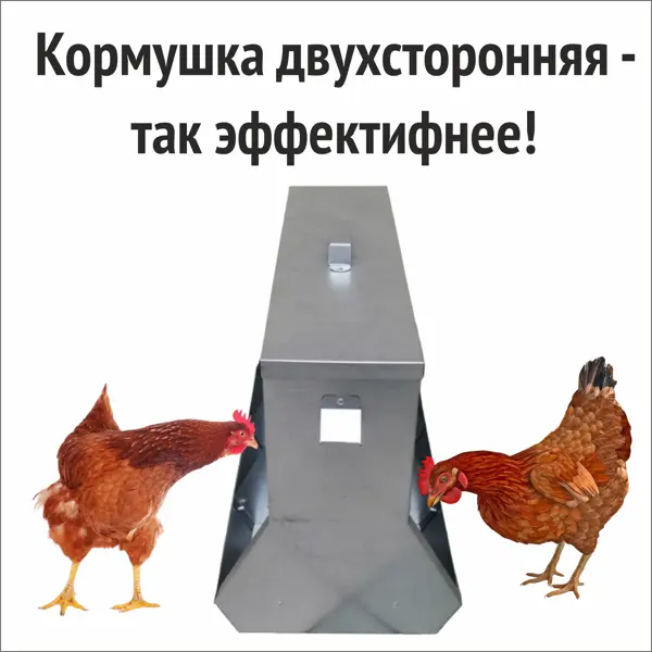 Кормушки для бройлеров ᐅ Купить кормушку для кур | Ukrferma