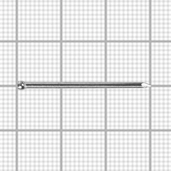 фото Гвозди финишные оцинкованные 1.6x30 мм, 100 шт. невский крепеж