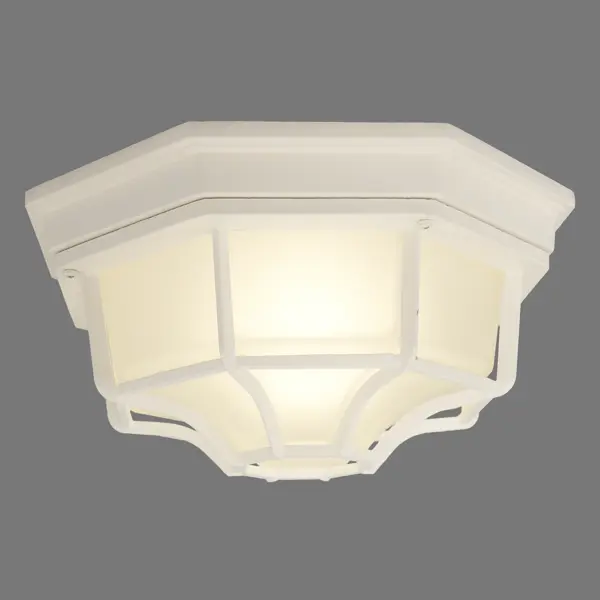 Светильник настенно-потолочный уличный Pegas 100 Вт IP65 цвет белый настенно потолочный светильник arte lamp a6460pl 3br
