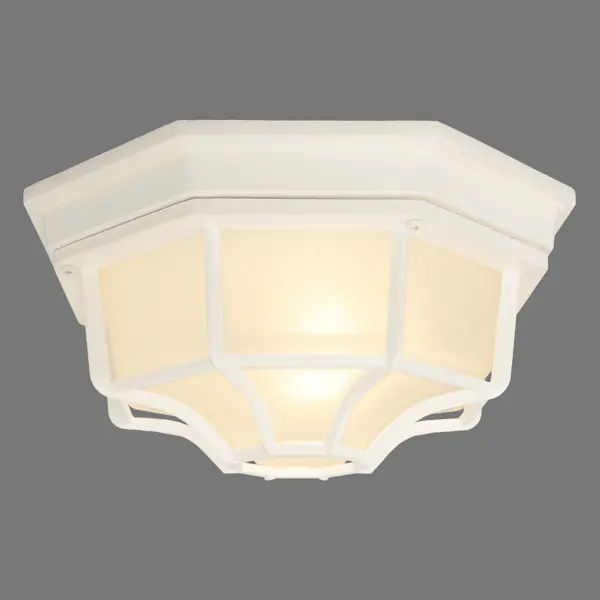 фото Светильник настенно-потолочный уличный pegas 100 вт ip65 цвет белый arte lamp