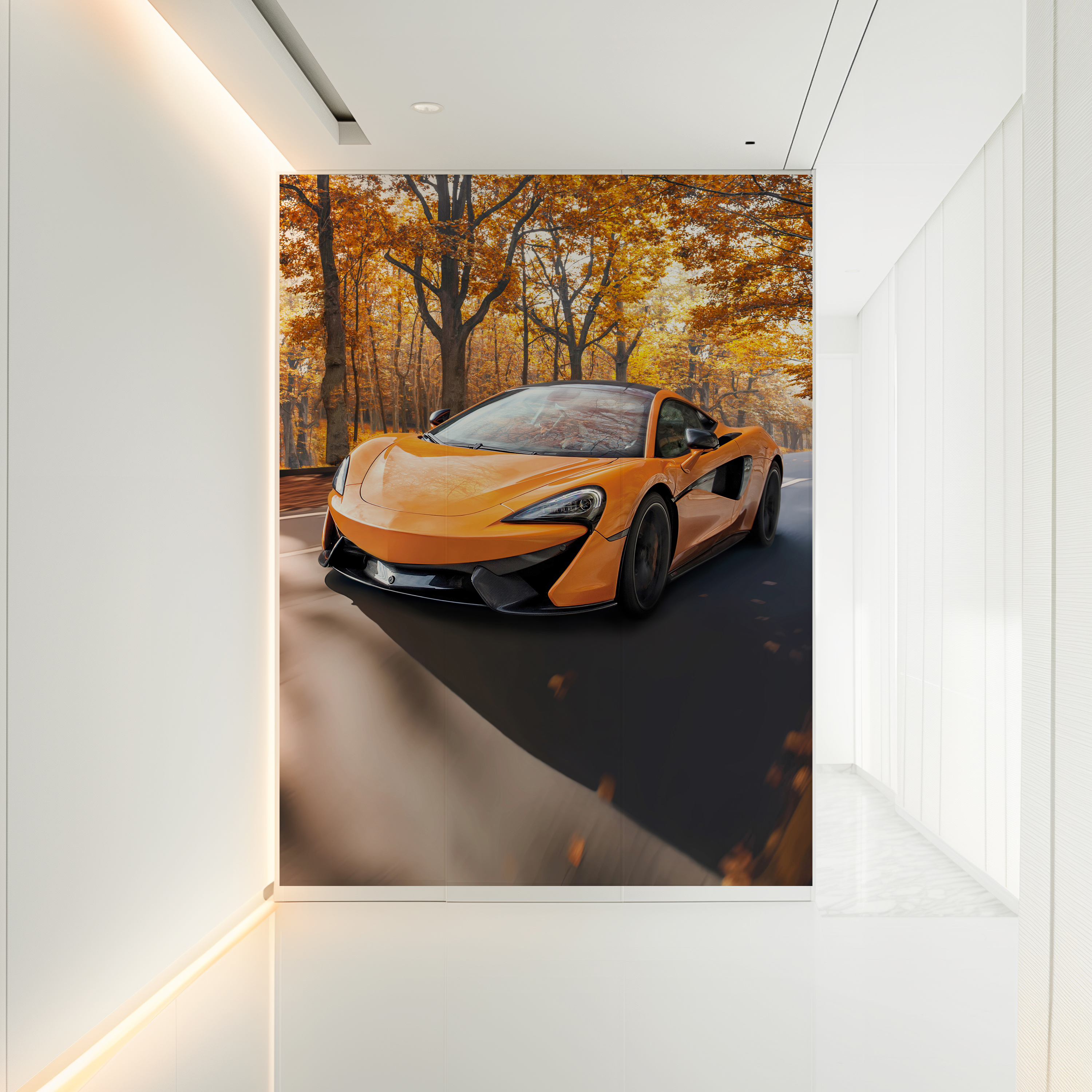 MCLAREN p1 2019