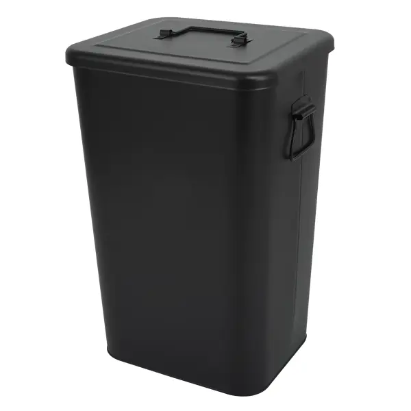 Контейнер мусорный с крышкой 26 л Delinia сталь цвет черный поднос прямоугольный delinia 47x33 см полипропилен изумрудный