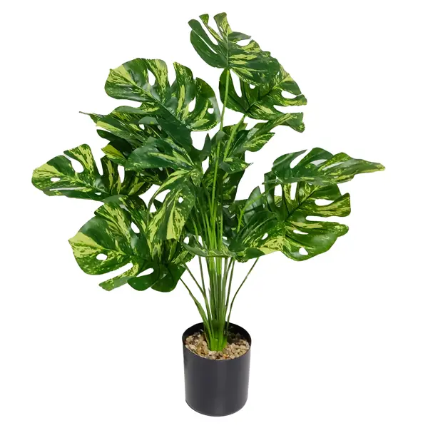 фото Искусственное растение монстера борзига 70 см без бренда