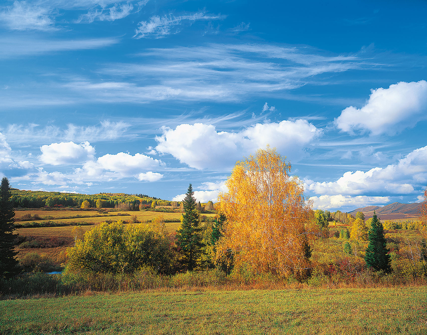 Родные просторы. Фотообои родные просторы. Родные просторы просторы. Тула просторы.