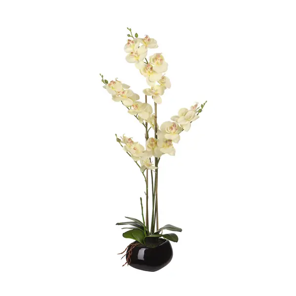 фото Искусственное растение белая орхидея 64 см без бренда