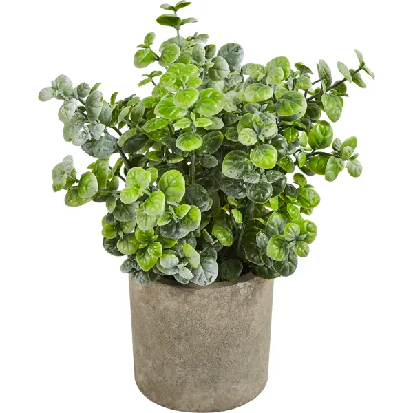 Искусственное растение Эвкалипт 8.5x22 см полиэстер цвет разноцветный искусственное растение эвкалипт ветка h50 см полиэстер зеленый