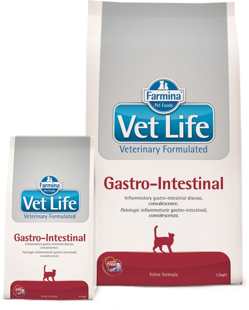 Сухой корм для кошек при нарушениях пищеварения FARMINA Vet Life  Gastrointestinal 400 г ✳️ купить по цене 560 ₽/шт. в Казани с доставкой в  интернет-магазине Леруа Мерлен