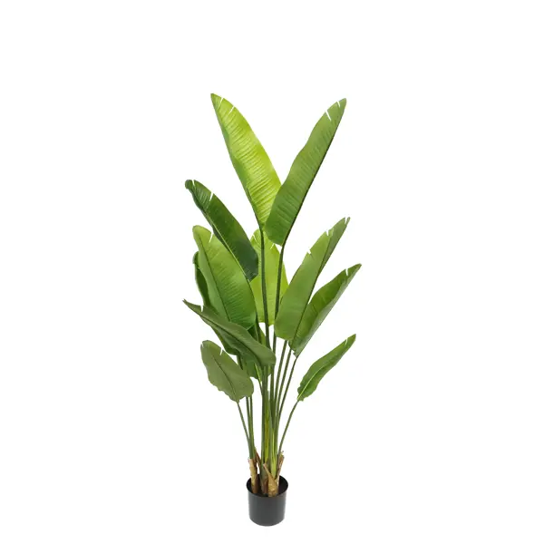 Искусственное растение Стрелиция 160 см уют растение аквариумное дерево зелено фиолетовое 22 см