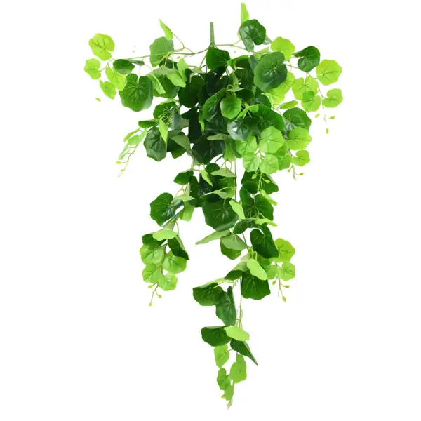 Искусственное растение Свисающая ветка 105 см цвет зеленый искусственное растение свисающая веточка 230 см бело зеленый
