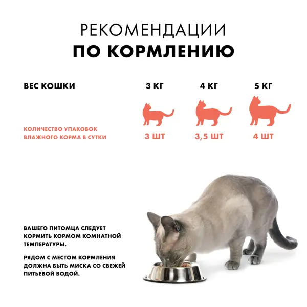 Влажный корм для кошек NUTRO 101917 Лосось в Хабаровске – купить по низкой  цене в интернет-магазине Леруа Мерлен
