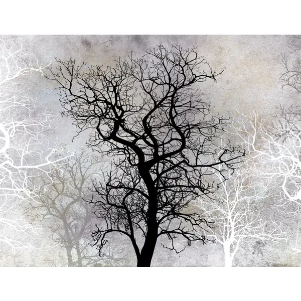 Черно-белые деревья картинки