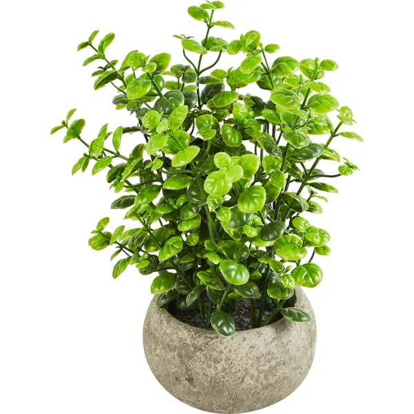 Искусственное растение Эвкалипт 10x22 см полиэстер цвет разноцветный искусственное растение эвкалипт ветка h50 см полиэстер зеленый