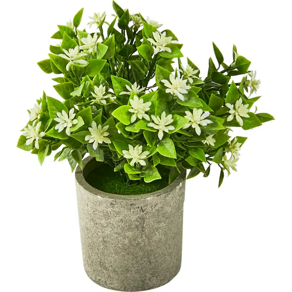 фото Искусственное растение жасмин пластик 20 см без бренда