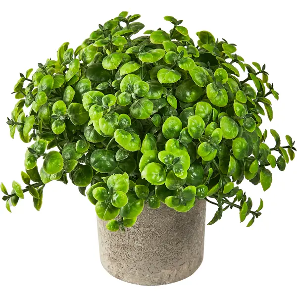 Искусственное растение Пилея пластик 19 см растение искусственное лаванда степная 35 см зелёный