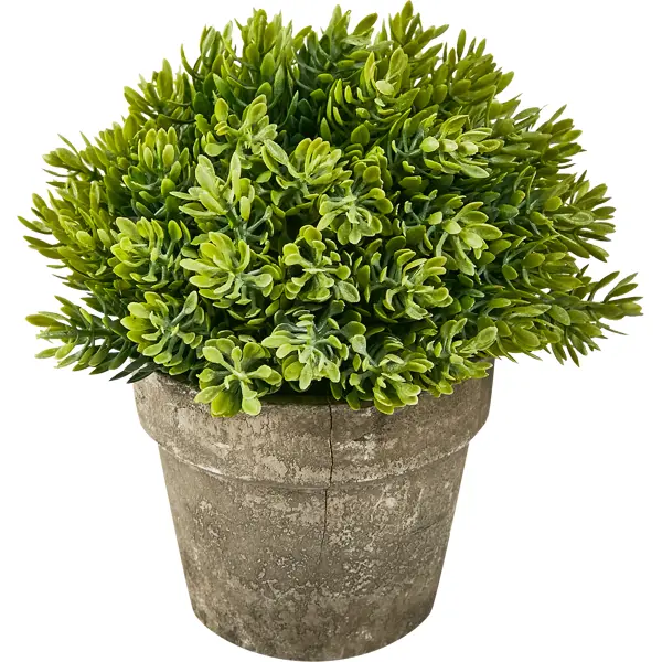 Искусственное растение Кипарис пластик 18 см растение искусственное лаванда степная 35 см зелёный