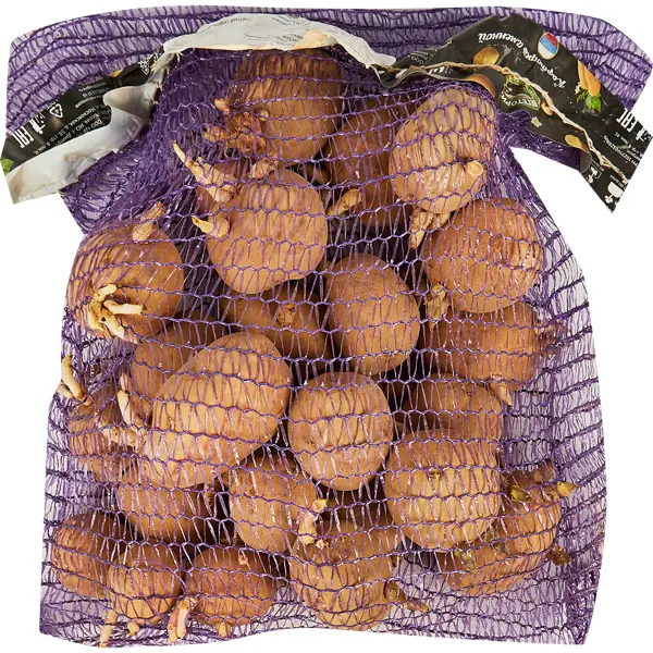 Картофель семенной Кингсмен Э 2 кг семена картофель семенной коломбо 2 кг