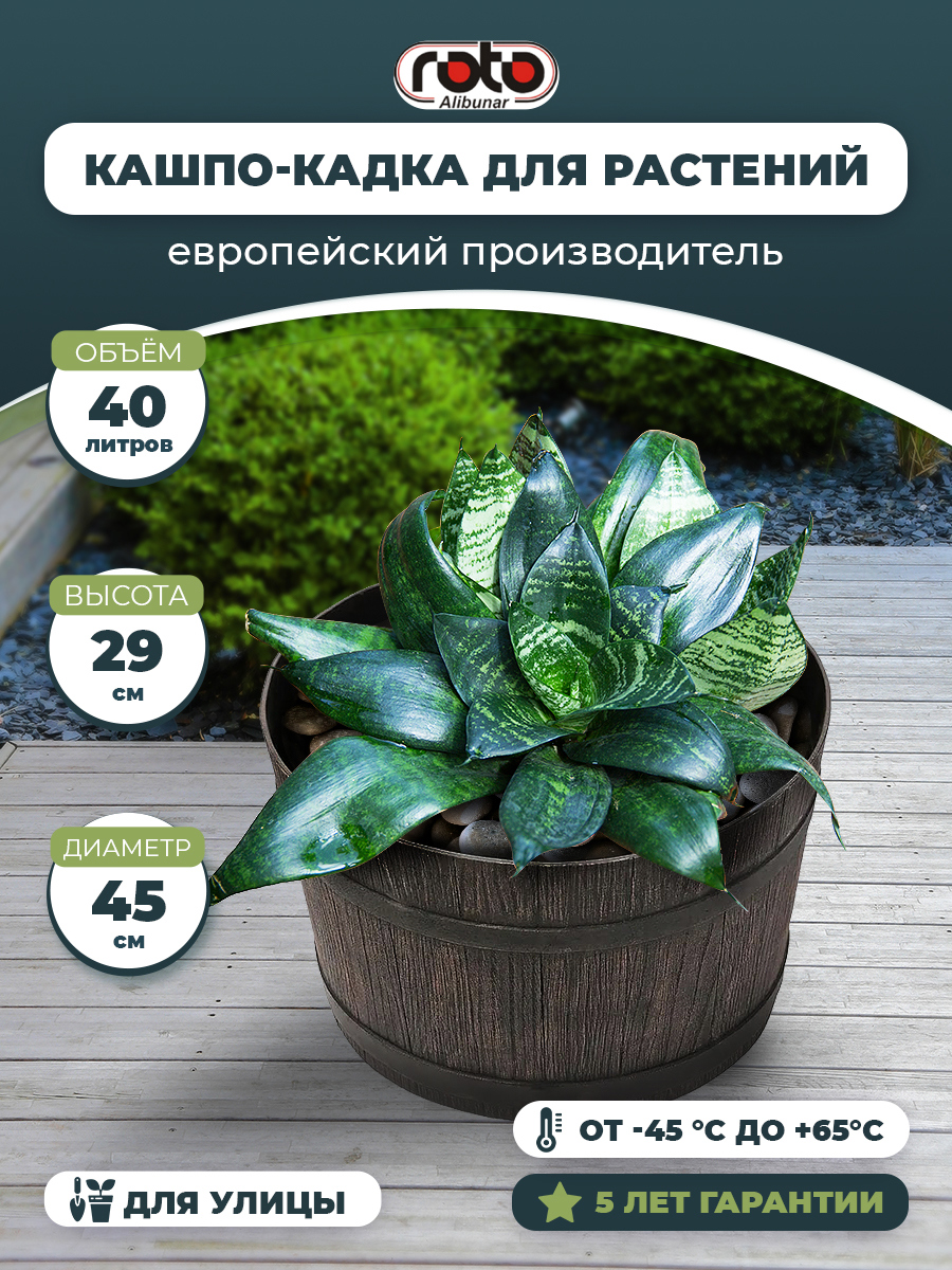 Кашпо Planter mambo Roto 41 см 30 см 50 л пластик коричневый ✳️ купить по  цене 4900 ₽/шт. в Ставрополе с доставкой в интернет-магазине Леруа Мерлен