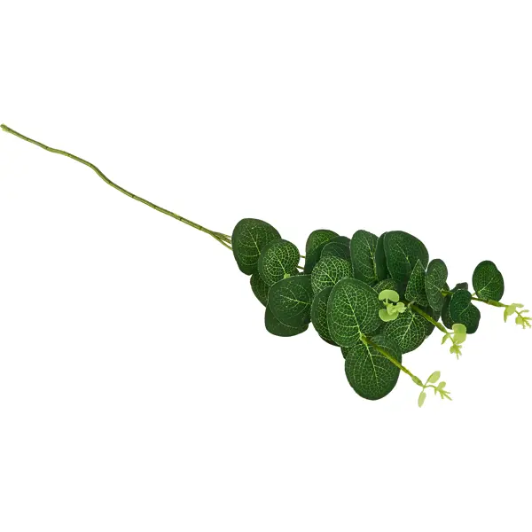 Искусственное растение Эвкалипт ветка h50 см полиэстер зеленый искусственное растение декоративный лук ø8 см полиэстер зеленый