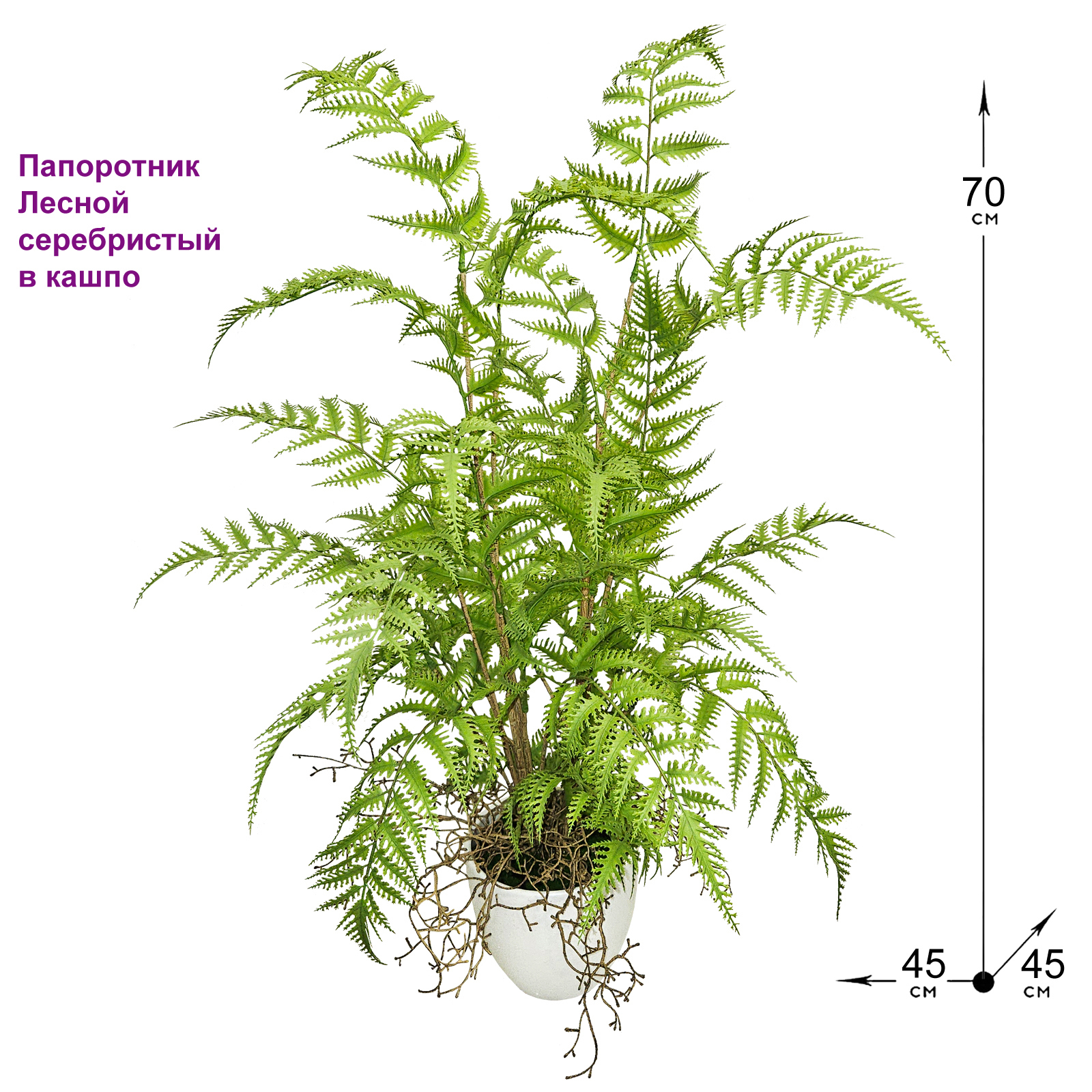 Искусственный Папоротник лесной серебристый 50 см в кашпо ФитоПарк ✳️  купить по цене 2646 ₽/шт. в Новосибирске с доставкой в интернет-магазине  Леруа Мерлен