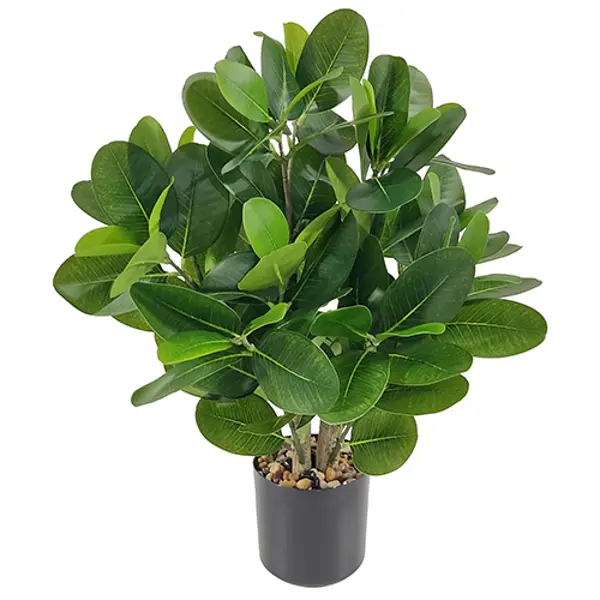 Искусственное растение Фикус широколистный 55 см фикус эластика микс 12х40 см
