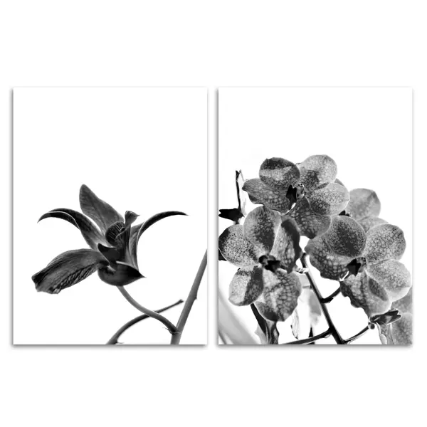 Постер Орхидея 30x40 см 2 шт. постер всплеск 30x40 см