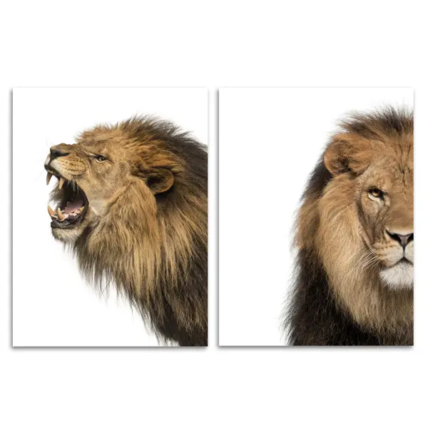 Постер Рычащий лев 30x40 см 2 шт. постер рычащий лев 30x40 см 2 шт
