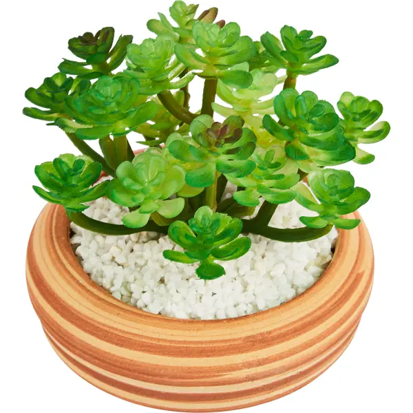 Искусственное растение Stripe 2 10x10 см полиэстер цвет разноцветный искусственное растение эвкалипт ветка h50 см полиэстер зеленый