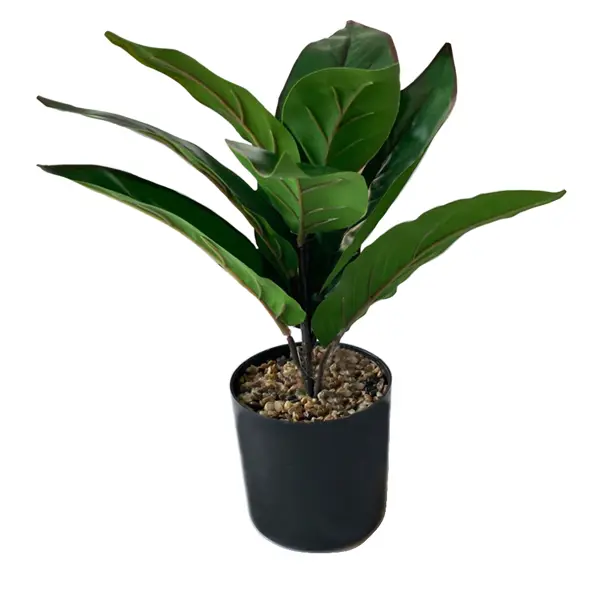Искусственное растение Филодендрон 10x29 см пластик цвет зеленый искусственное растение горстка растений 40x25 см пластик цвет зеленый