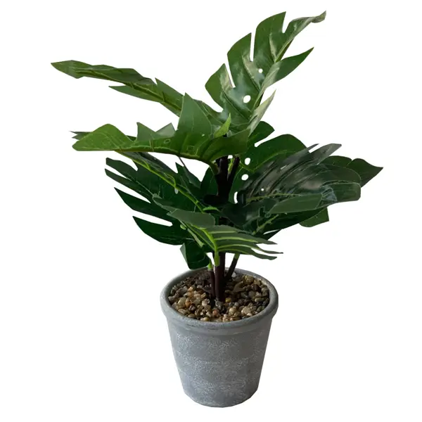 Искусственное растение Черепаха 9.3x29 см пластик цвет зеленый