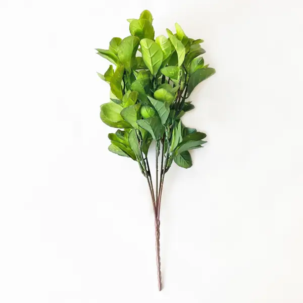 Искусственное растение Фикус 36x22 см пластик цвет зеленый растение искусственное 20 см в корзине пластик полиуретан бувардия flower garden