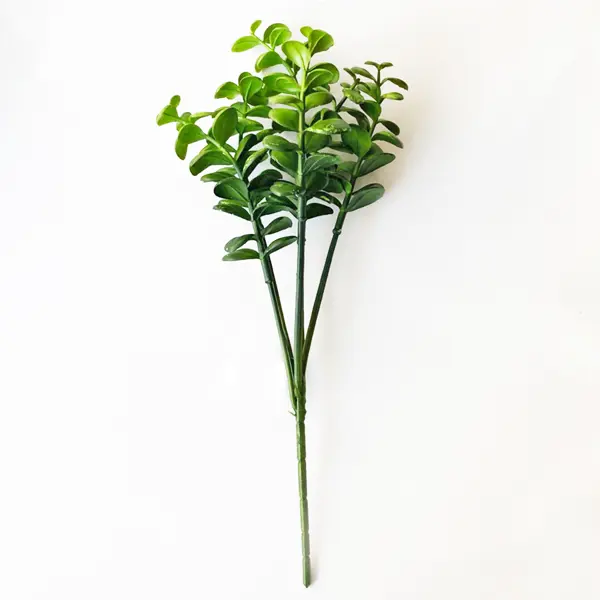 Искусственное растение эвкалипт 34x15 см пластик цвет зеленый кпб эвкалипт зеленый р евро