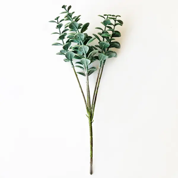 фото Искусственное растение эвкалипт 34x15 см пластик цвет зеленый без бренда