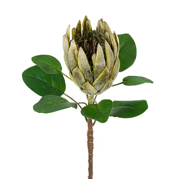 Цветок декоративный Протея 72 см цвет зеленый по цене 2484 ₽/шт. купить в  Рязани в интернет-магазине Леруа Мерлен