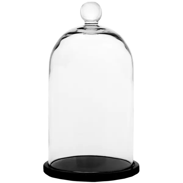 фото Колпак с подставкой «родрик» стекло цвет прозрачный 25 см без бренда