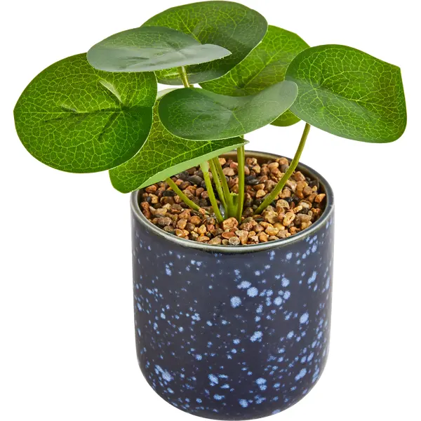 Искусственное растение Atmosphera Nuit 17 см искусственное растение atmosphera алоэ вера 17 5 см