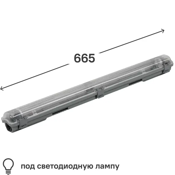    Gauss -8-G13 Lite 1x600 ,   