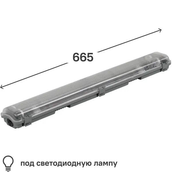    Gauss -8-G13 Lite 2x600 ,   