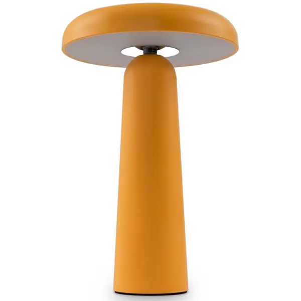 фото Настольная лампа светодиодная match fr6109tl-l4or цвет оранжевый без бренда
