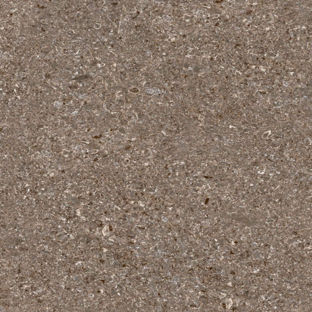 Керамический 45 б. Тротуарная плитка Готика Premium. Плитка напольная Тянь-Шань Керамик Дамон серый 41x41 см (tp413628d). Плитка Готика гранит.
