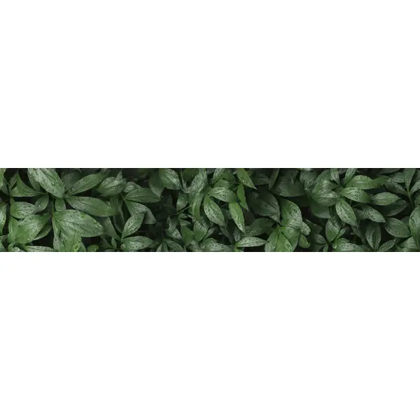 Декоративная кухонная панель Botanical Gar 300x60x0.4 см алюминий цвет зеленый панель декоративная era