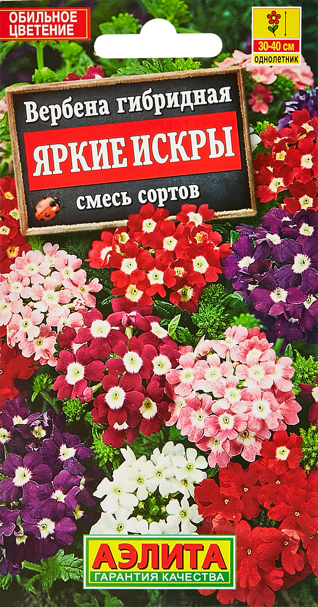 Вербена гибридная яркие искры смесь сортов. Вербена гибридная яркие искры смесь.